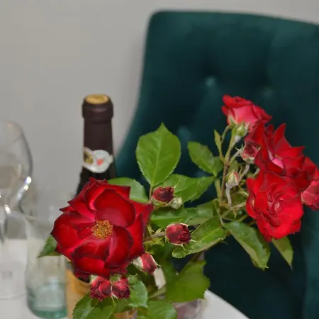 Tower 21 New And Unique * سراييفو