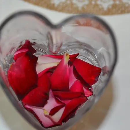 Tower 21 New And Unique شقة سراييفو