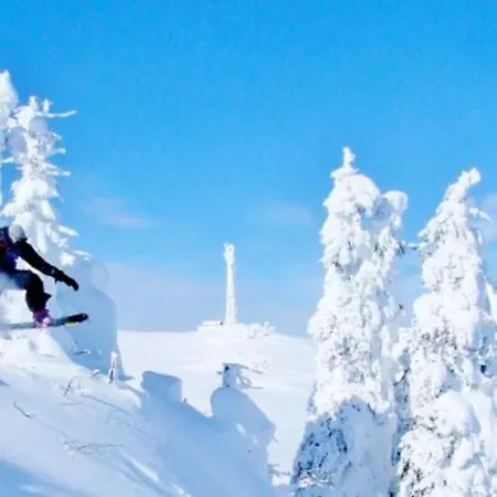 Tower 21 New And Unique