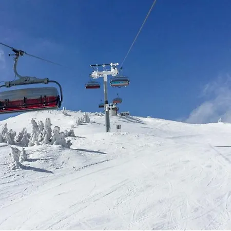 Tower 21 New And Unique *