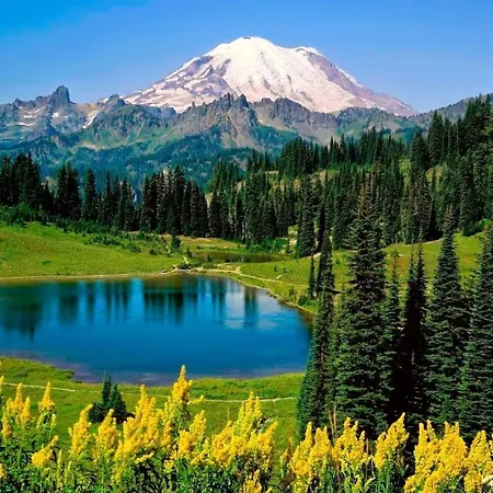 Tower 21 New And Unique شقة *