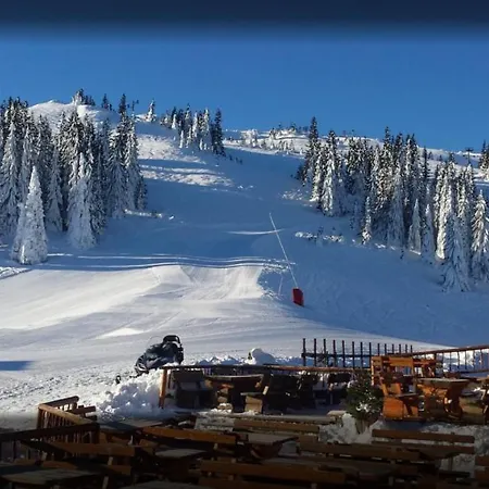 Tower 21 New And Unique *