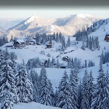 Tower 21 New And Unique *