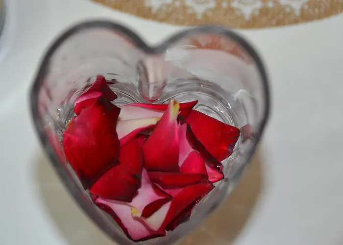 Tower 21 New And Unique 아파트 사라예보