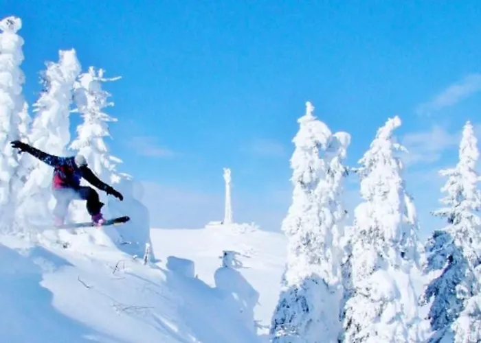 Tower 21 New And Unique