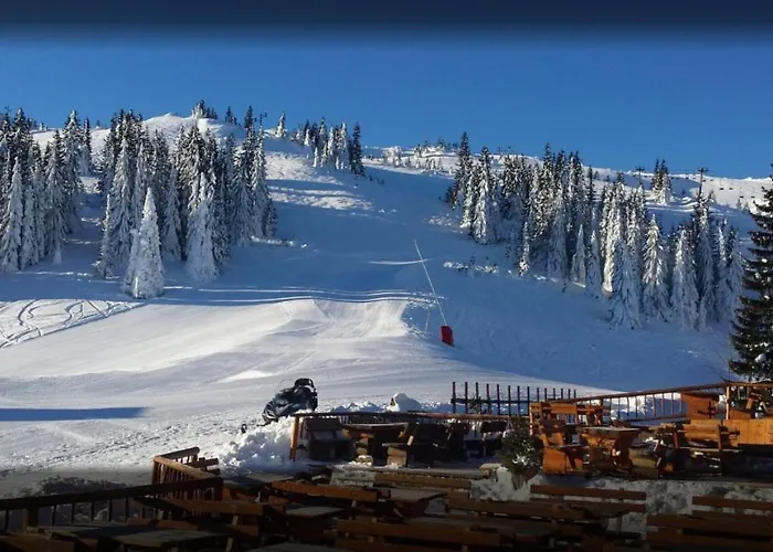 Tower 21 New And Unique *