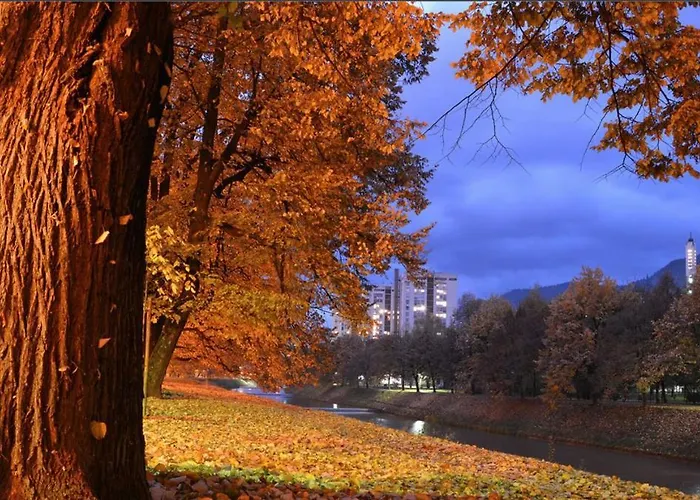 Tower 21 New And Unique 아파트 *