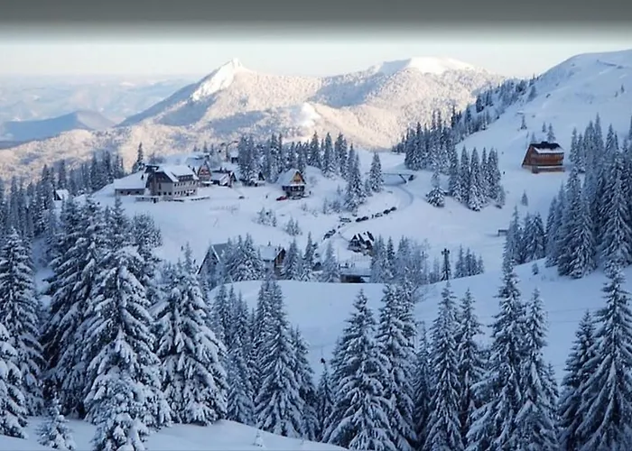 Tower 21 New And Unique *